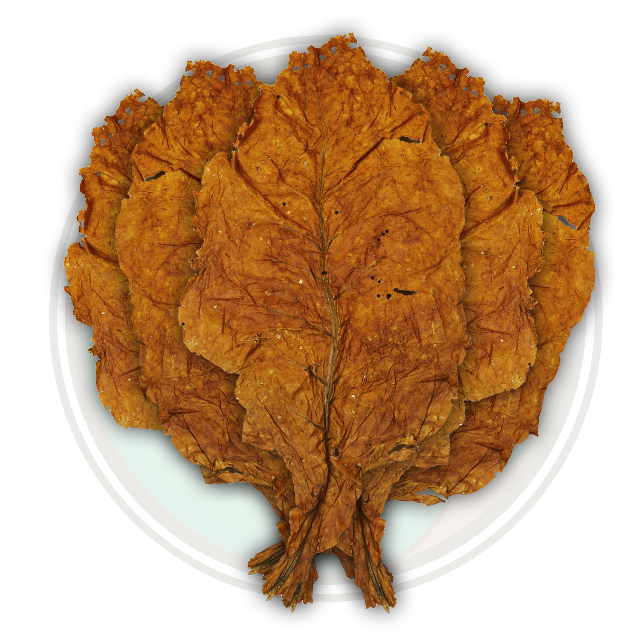 American Virginia Flue Cured 2013 Tobacco Leaf American Virginia Flue Cured 2013 Tobacco Leaf